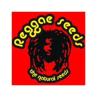 SR00407 - SRA. AMPARO 7 FEMM REGGAE SEEDS