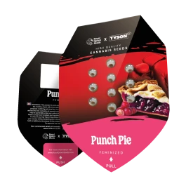 RQSFEM005086 - ROYAL QUEEN SEEDS - PUNCH PIE FEM (TYSON SEEDS) | 5 GRAINES