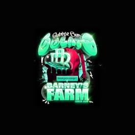 BF2009101 - BARNEY'S FARM - BUBBLEGUM ICE CREAM FEM | 1 SEED