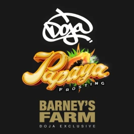 BF2009510 - BARNEY'S FARM - PAPAYA FROSTING FEM | 10 GRAINES