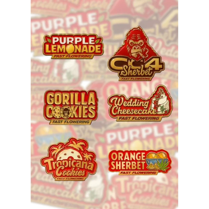 FBMXPFFF005 - FAST BUDS - MIX PACK FAST FLOWERING FEM | 5 GRAINES