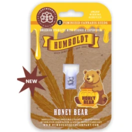 HSCHB-3-F - HUMBOLDT SEEDS COMPANY - HONEY BEAR FEM | 3 GRAINES