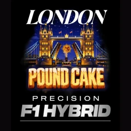 BF2011505 - BARNEY'S FARM - LONDON POUND CAKE FEM (PRECISION F1 HYBRID) | 5 GRAINES