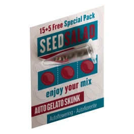 SEX04015PIP - SEEDSALAD - AUTO ICE CREAM SKUNK FEM (USA STRAIN) | 15+5 GRAINES GRATUITES