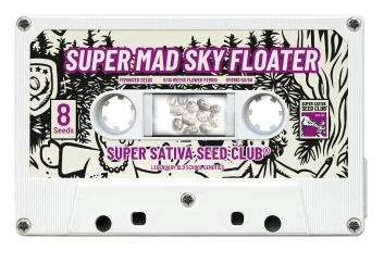 SSSC11081 - SUPER SATIVA SEED CLUB - SUPER MAD SKY FLOATER FEM | 8 SEMENCES Disponible dans la limite des stocks disponibles