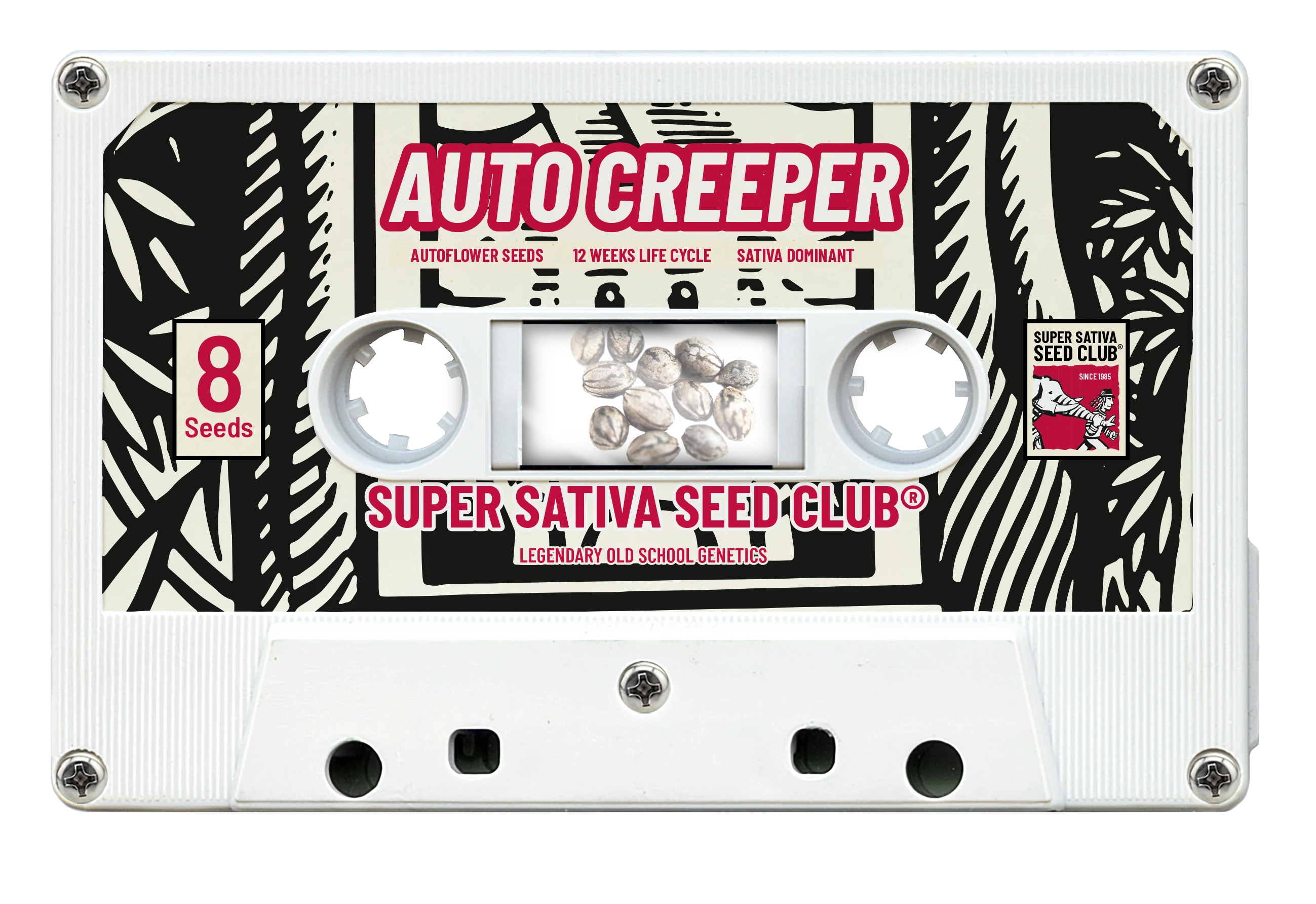 SSSC070302 - SUPER SATIVA SEED CLUB - AUTO CREEPER FEM | 3 GRAINES