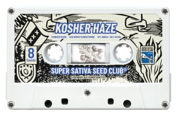 SSSC121201 - SUPER SATIVA SEED CLUB - KOSHER HAZE REG | 12 GRAINES