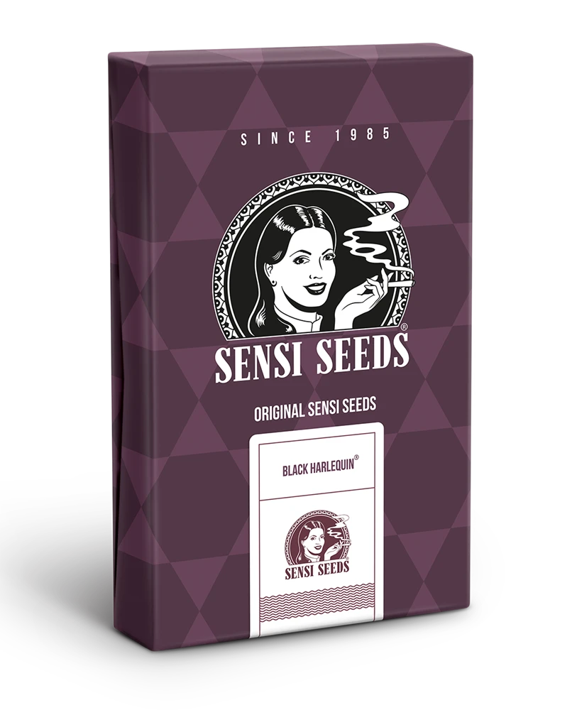 SS1560329 - SENSI SEEDS BANK - BLACK HARLEQUIN FEM | 3 SEMENCES Disponible dans la limite des stocks disponibles