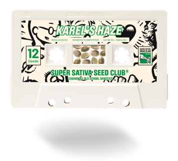 SSSC021201 - SUPER SATIVA SEED CLUB - KAREL'S HAZE REG | 12 GRAINES