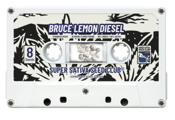 SSSC190802 - SUPER SATIVA SEED CLUB - BRUCE LEMON DIESEL FEM | 8 SEMENCES Disponible jusqu'à épuisement des stocks