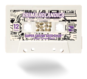 SSSC031201 - SUPER SATIVA SEED CLUB - PRIMA HOLANDICA REG | 12 GRAINES