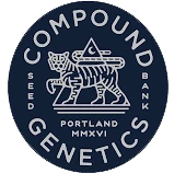 CPG005F003 - COMPOUND GENETICS - FEM BOMB | 5 GRAINES