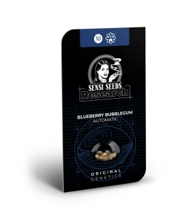 SENSI SEEDS RESEARCH - BLUEBERRY BUBBLEGUM AUTOMATIC | 10 SEMI