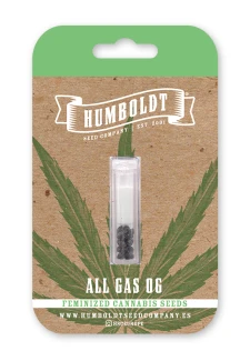HUMBOLDT SEEDS COMPANY - ALL GAS OG FEM | 3 SEMI