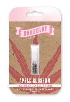 HUMBOLDT SEEDS COMPANY - APPLE BLOSSOM FEM | 10 SEMI