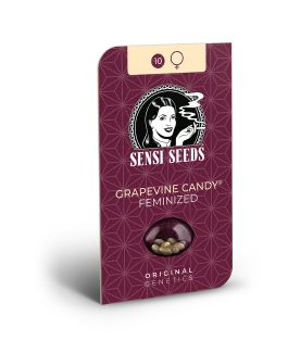 SENSI SEEDS BANK - GRAPEVINE CANDY FEM | 5 SEMI