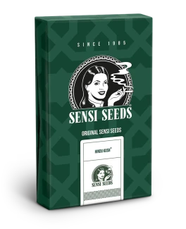 SENSI SEEDS BANK - HINDU KUSH REG | 10 SEMI