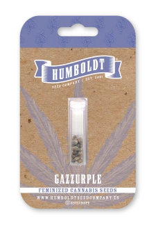 HUMBOLDT SEEDS COMPANY - GAZZURPLE FEM | 3 SEMI