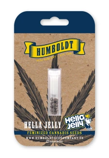 HUMBOLDT SEEDS COMPANY - HELLA JELLY FEM | 10 SEMI