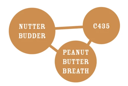 HUMBOLDT SEEDS COMPANY - NUTTER BUDDER FEM | 10 SEMI