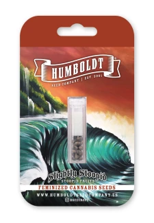 HUMBOLDT SEEDS COMPANY - SLIGHTLY STOOPID FRUITS FEM | 3 SEMI