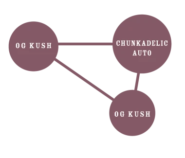 HUMBOLDT SEEDS COMPANY - OG KUSH AUTO | 3 SEMI
