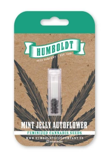 HUMBOLDT SEEDS COMPANY - MINT JELLY AUTO | 5 SEMI