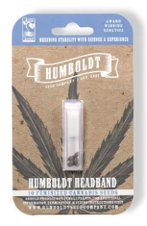 HUMBOLDT SEEDS COMPANY - HUMBOLDT HEADBAND FEM | 10 SEMI