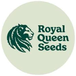 RQSFEM003096 - ROYAL QUEEN SEEDS - PINK GORILLA FEM | 3 SEMI