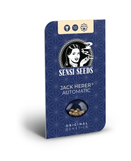 SENSI SEEDS BANK - JACK HERER AUTOMATIC FEM | 3 SEMI