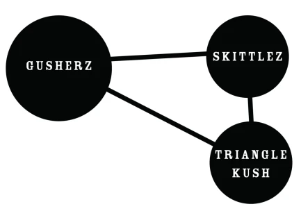 HUMBOLDT SEEDS COMPANY - GUZZLERZ FEM | 5 SEMI