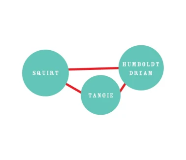 HUMBOLDT SEEDS COMPANY - THE UPSETTER FEM | 3 SEMI