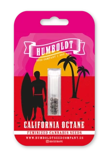 HUMBOLDT SEEDS COMPANY - CALIFORNIA OCTANE FEM | 5 SEMI