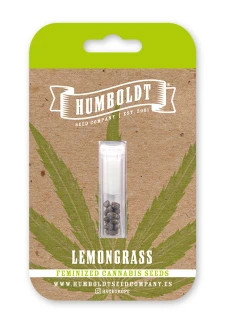 HUMBOLDT SEEDS COMPANY - LEMONGRASS FEM | 5 SEMI