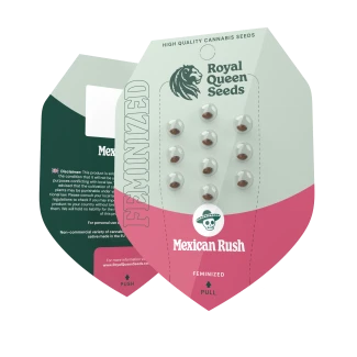 RQS_MexicanRush_New-2025_packet