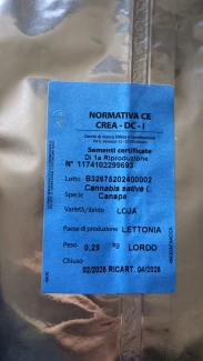 SEMI DI CANAPA VARIETA' LOJA CE | 0,250 Kg
