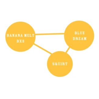 HSC_banana_melt_fem_cross