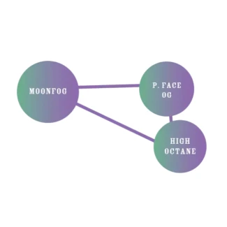 HSC_moonfog_fem_cross