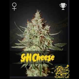 SGFCHEF5 - GREEN HOUSE SEED CO. - GH CHEESE FEM | 5 SEMI