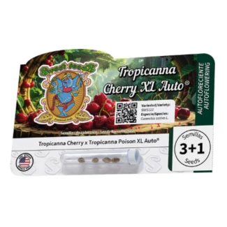SWEET-SEEDS-TROPICANNA-CHERRY-XL-AUTO_packet