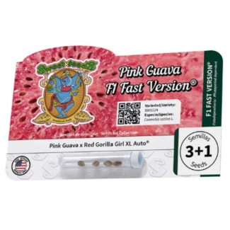 SWEET-SEEDS-PINK-GUAVA-F1-FAST-VERSION_packet