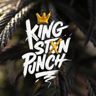 DUTCH-PASSION-KINGSTON-PUNCH-FEM_logo