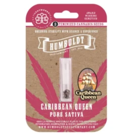 HSCCQ-3-F - HUMBOLDT SEEDS COMPANY - CARIBBEAN QUEEN FEM | 3 SEMI