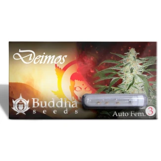 BUDDHA-SEEDS-DEIMOS-AUTO-FEM_3_semi_packet