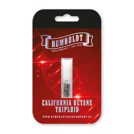 HSCCOTRP-3-F - HUMBOLDT SEEDS COMPANY - CALIFORNIA OCTANE TRIPLOID FEM | 3 SEMI