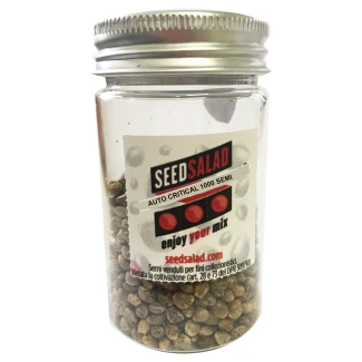 SEEDSALAD - AUTO CRITICAL FEM | 1000 SEMI