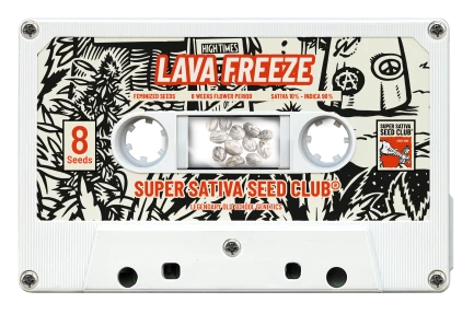 SUPER SATIVA SEED CLUB - LAVA FREEZE FEM | 3 SEMI