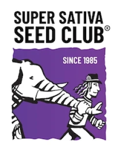 SUPER SATIVA SEED CLUB - KAREL'S DANK REG | 12 SEMI