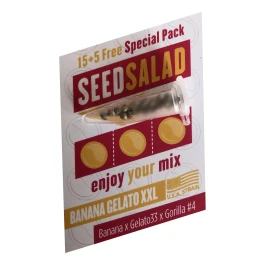 SEX03915PIP - SEEDSALAD - AUTO BANANA GELATO (USA STRAIN) | 15+5 SEMI GRATIS
