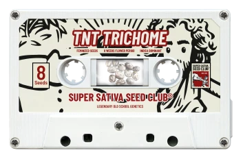 SSSC100502 - SUPER SATIVA SEED CLUB - TNT TRICHOME FEM | 5 SEMI